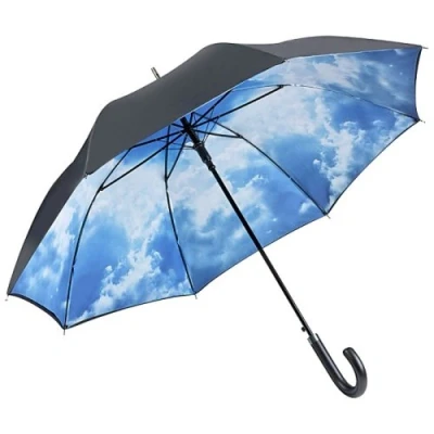 Image de VON LIILENFELD® Parapluie Canne Grand Robuste Ouverture Automatique Double Épaisseur Motif Ciel hambourgeois
