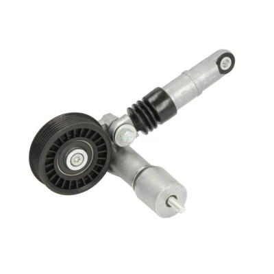 Image de BTA E3W0018BTA Galet Tendeur VOLKSWAGEN: Golf 4, Passat B5 GP Break, Berline, AUDI: A4 B6 A6 C5 Avant