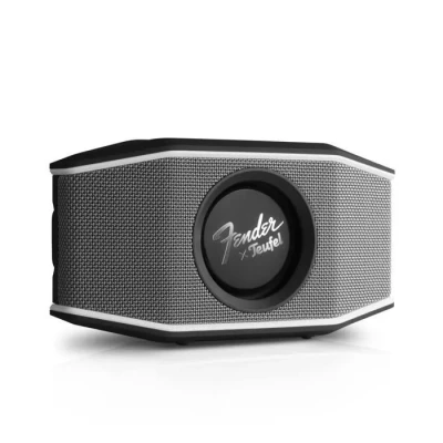 Image de Teufel Fender x ROCKSTER GO 2 Enceinte Bluetooth Portable pour l&#039;extérieur, étanche IP67, Longue autonomie (28 h), Wireless Streaming Steel Black