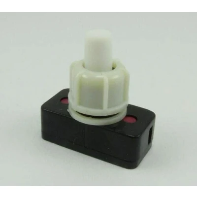 Image de Interrupteur à pression encastrable blanc pour lampes 250 V 2 A