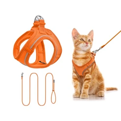 Image de Qianruida Harnais Chien, Chat avec Laisse pour Chat, Réglable Chaton Respirant Anti évasion Refléchissant Lapin Chats Et Chiot(Orange XXXS)