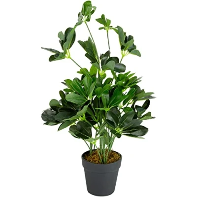 Image de Leaf Arbre Parapluie Artificiel Schefflera Arboricola avec Pot en Plastique Noir, Vert, 55 cm