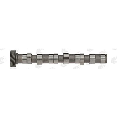 Image de AE CAM702 Arbre à Cames pour cylindres 4 6, Côté d&#039;échappement AUDI: A4 B6/B7 Cabriolet, A6 C5 Berline, B6 Avant, VOLKSWAGEN: Passat B5 GP Berline