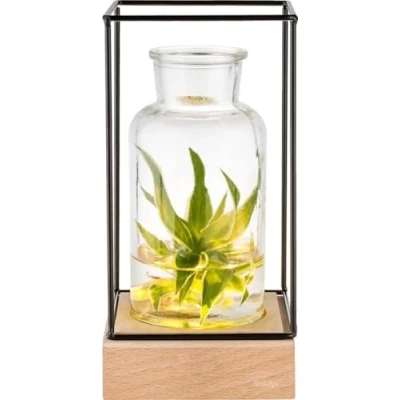 Image de Gadgy® l Vase en Verre transparant avec lumière décoratif Transparent Base Bois Naturel et Cadre métal 22,5 x 10,8