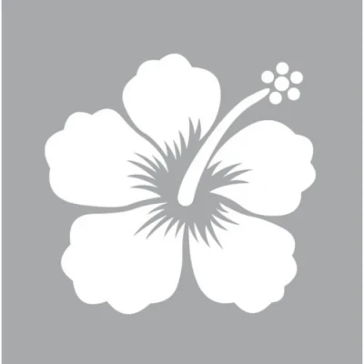 Image de MTD Pochoir 8 x cm Hibiscus