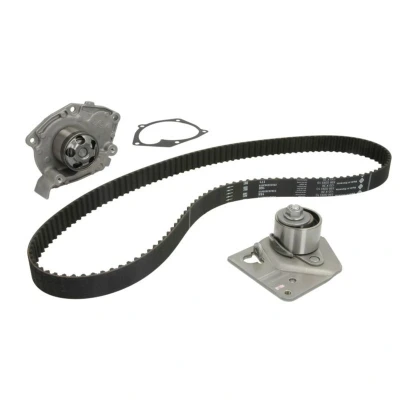 Image de INA 530 0442 30 pompe à eau + Kit De Distribution avec RENAULT: GRAND SCENIC 2, MEGANE 2 Coupe Cabriolet,