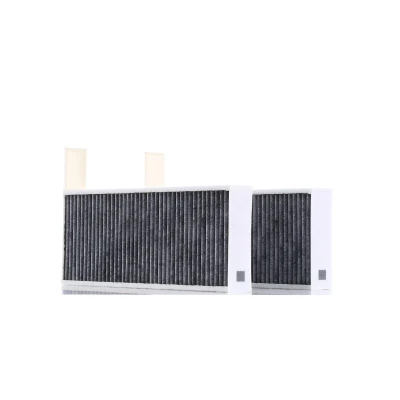 Image de BOSCH 1 987 435 525 Filtre d&#039;habitacle à charbon actif 259 98 32 PEUGEOT: 508 II, 308 SW 2, II 3/5 portes, DS: DS 4