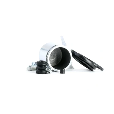 Image de AUTOFREN SEINSA D41048C Kit De Réparation Étrier Frein Essieu avant 54 RENAULT: MEGANE 1, CLIO 2, AUDI: A4 B5 Avant, SEAT: Córdoba I Berline oscaro