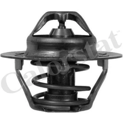 Image de Thermostat d&#039;eau CALORSTAT by Vernet TH6310.88J