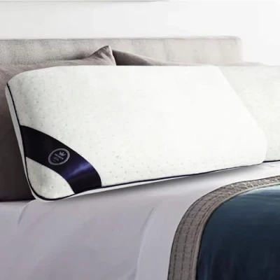 Image de SAMPUR Oreiller Zenith Mousse à mémoire de Forme Microperforée &amp; Ventilée Housse hypoallergénique et Lavable Maintien Optimal la Nuque (40x70 cm)