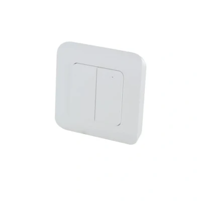 Image de Interrupteur Double sans Fil intérieur DiO 1.0