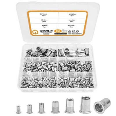 Image de VIGRUE Lot de 250 écrous à riveter M3 M4 M5 M6 M8 M10 rivets filetés Écrou A2 70 en acier inoxydable Outil tête plate Filetage Rivet Nutsert Capuchon Écrous pour pince écrou