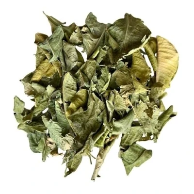Image de Tisane Oranger Bigarade feuille 100 GRS Citrus aurantium var amara