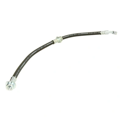 Image de DELPHI LH6638 Flexible De Frein 490 M10x1 Int DF NISSAN: X Trail, Primastar Van