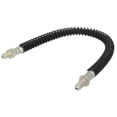 Image de DELPHI LH5188 Flexible De Frein 407 M10x1