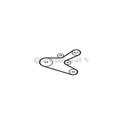 Image de CONTITECH 6PK1153K2 Jeu de courroies trapézoïdales à nervures PEUGEOT: 307 3/5 portes, SW, Break, CITROËN: C4 I portes