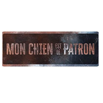Image de D&amp;D Home, Panneau d&#039;avertissement Attention au Chien, 40x13x0,3 cm, Version française, Fond Noir, en métal résistant à la Rouille avec Un Texte Amusant