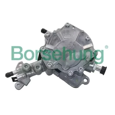 Image de Borsehung B14919 Pompe à Vide VOLKSWAGEN: Golf 5, Passat B5 GP Berline, 4, AUDI: A3 Sportback, 3/5 portes, A4 B7 Avant, SEAT: Ibiza 3