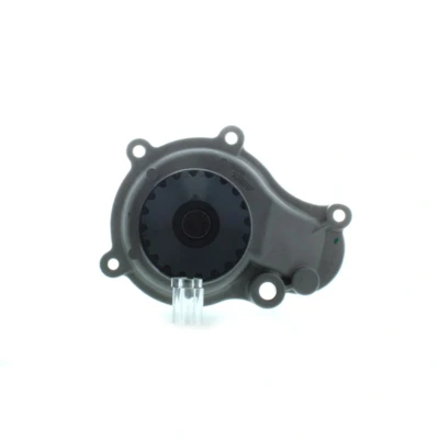 Image de AISIN WPA 009 Pompe à eau CHRYSLER: PT Cruiser Break, Voyager 4, / Grand 3, JEEP: Cherokee III, WRANGLER 2