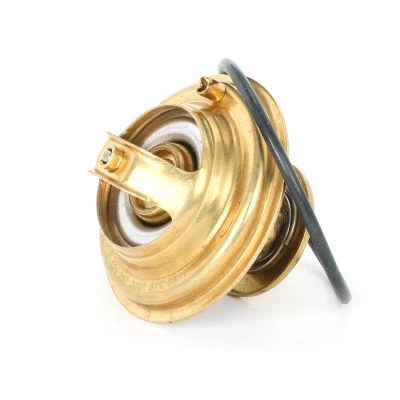 Image de MEYLE 028 287 0007 Thermostat d&#039;eau 87 ORIGINAL Quality avec joint d&#039;étanchéite AUDI: A4 B5 Avant, A6 C5 Berline, Berline