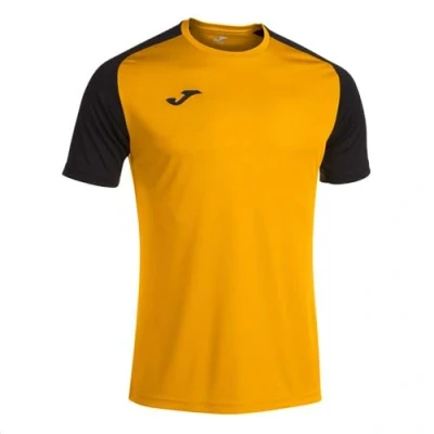 Image de Maillot Joma Academy IV