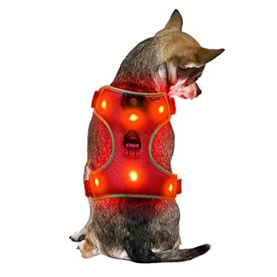 Image de Petit Rouge Harnais pour Chien avec USB Rechargeable LED Lumineux Chiot Reglable Gilet Fluo Accessoire Fluorescent Securite Arnet