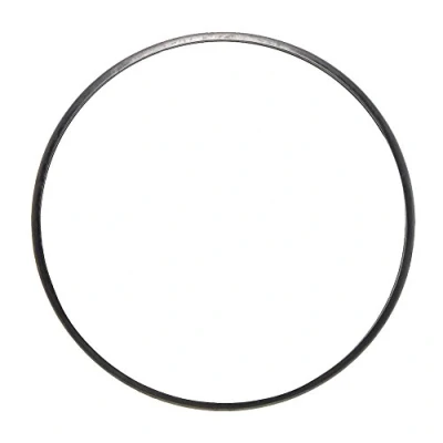 Image de AJUSA 01396100 Joint d&#039;étanchéité, tuyau d&#039;échappement PEUGEOT: 208 I 3/5 portes, 308 II SW 2, DS: DS3 portes