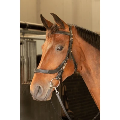Image de Harry&#039;s Horse Bride Leder Anatomic Noir Cob