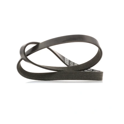 Image de DAYCO 6PK1019EE Courroie Poly V 1019,0 6 FORD: FIESTA 5, 6, Focus 2, MAZDA: 3 5 portes, 2 portes