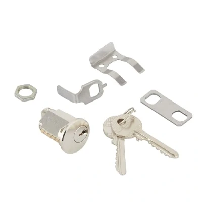 Image de BURG WÄCHTER, Barillet PTT avec Fixation par Fourchette, Conforme à La Norme Poste NF D 27 404/405, 2 Clés Incluses, Neutre