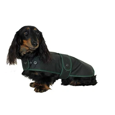 Image de Cosipet Manteau de Chasseur Teckel 53 cm, Vert