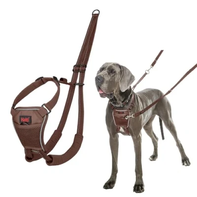 Image de Harnais Anti Traction HALTI pour Que Votre Chien arrête de Tirer sur sa Laisse, Réfléchissant, Sangle poitrail et des Pattes Avant rembourrée, Grand Chiens (Taille L, Brun Noisette)