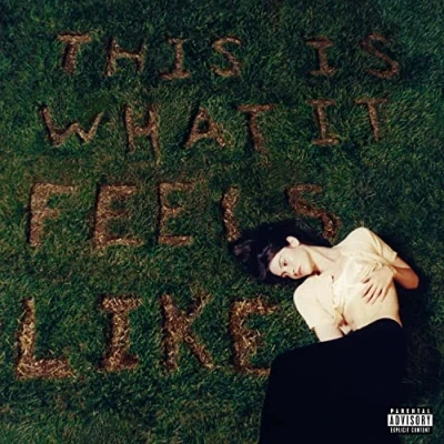Image de This Is What It Feels Like
