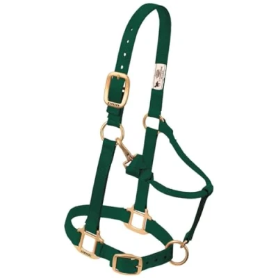 Image de Weaver Leather ADJ HGRN Licol à Clipser Vert Chasseur Taille Moyenne 2,5 cm