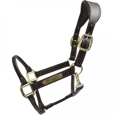 Image de Kentucky Horsewear Licou Bride Marron Cob