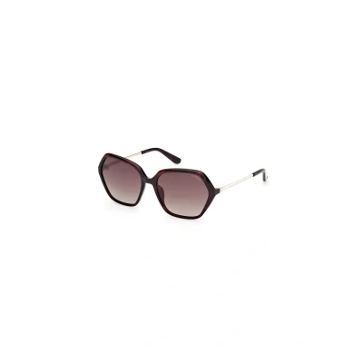 Image de Guess GU00134 Lunettes de soleil Dark avanabrown (gradient), Femme, Taille: 55, avana brown (gradient)