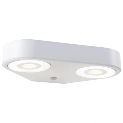 Image de Paulmann Silma 2 Applique Murale d&#039;Extérieur avec Sensor SWR Blanc