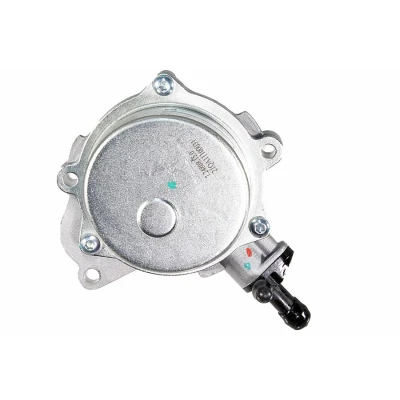 Image de METZGER 8010124 Pompe à Vide