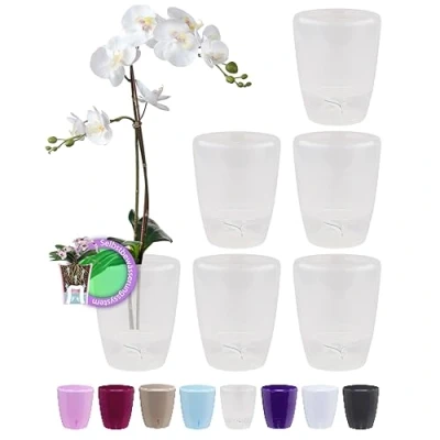 Image de Santino ORCHIDEA Lot de 6 Pots à Orchidée avec Système Mèche et Indicateur Niveau d&#039;eau (Diamètre: 12 cm, 1,3 L, Transparent)