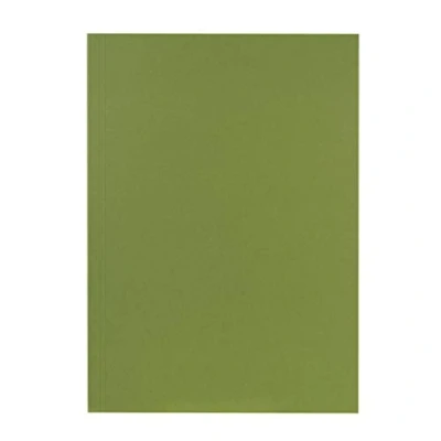 Image de Falken Réf. 80001167002F Carton de 100 chemises carte recyclée A4 Vert