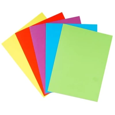 Image de Exacompta Réf. 415000E Carton de 250 chemises double poche ROCK&#039;&#039;S 210 g/m² couleurs vives certifiées PEFC™ dim 24 x 32 cm pour format A4 assorties