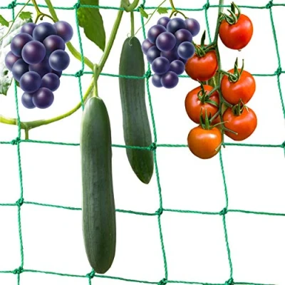 Image de 5 * 2M Filet Plantes Grimpantes Potager de Treillis pour Tomates Rcolte Concombres Lgume Vignes