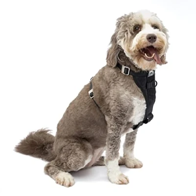 Image de Kurgo Harnais Tru Fit Pour Chien, Testé les Chocs, Anneau en D Avant un Entraînement Sans Traction, Ceinture De Sécurité Voiture incluse, Noir, L