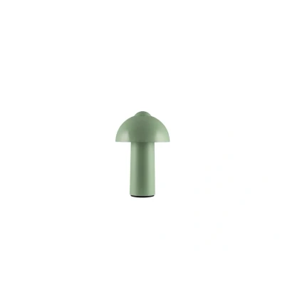 Image de Globen Lighting Lampe de table portable Buddy Vert