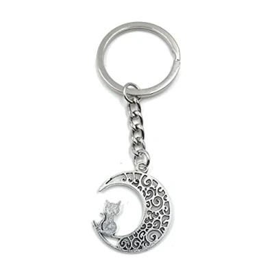 Image de H Customs Porte clés en argent avec pendentif forme de chat dans la lune.