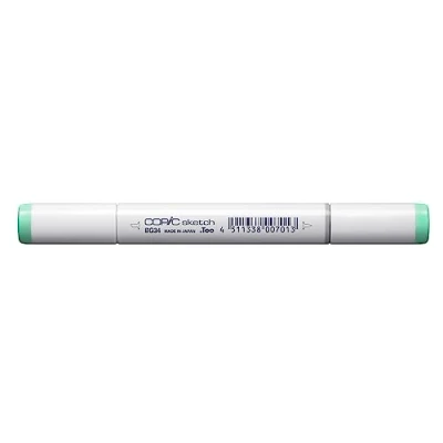 Image de COPIC Sketch BG34, Horizon Green, Twin Marker avec Une Pointe de Largeur Moyenne et « Brush ».