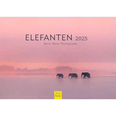 Image de Edition Seidel Calendrier mural 2025 de qualité supérieure Format A3 Motif éléphant Animaux sauvages Nature Mario Weigt