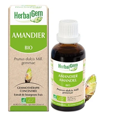 Image de Herbalgem Amandier Bio Complément Alimentaire Extrait De Bourgeon Frais 30 mL