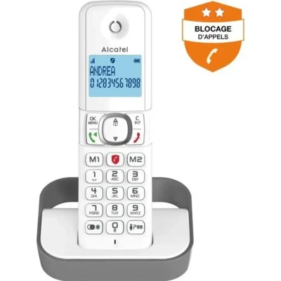 Image de Alcatel F860 Téléphone DECT Identification de l&#039;appelant Gris