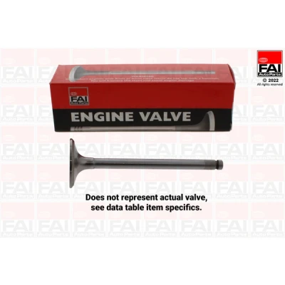 Image de FAI AutoParts EV95221 Soupape d&#039;Échappement 23,1mm Côté d&#039;échappement FORD: Ecosport Mk2, FIESTA 6, Transit Connect V408 Van